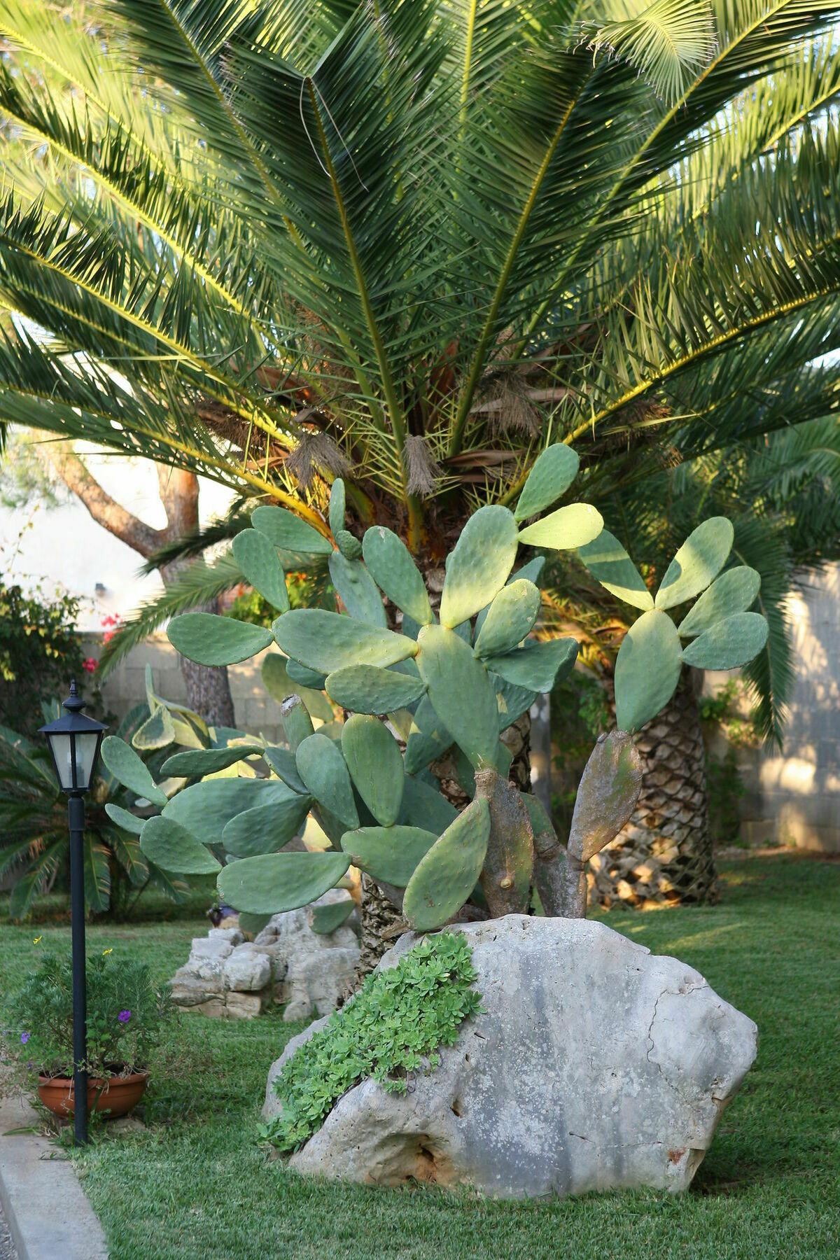 Lecce Guesthouse Exteriér fotografie